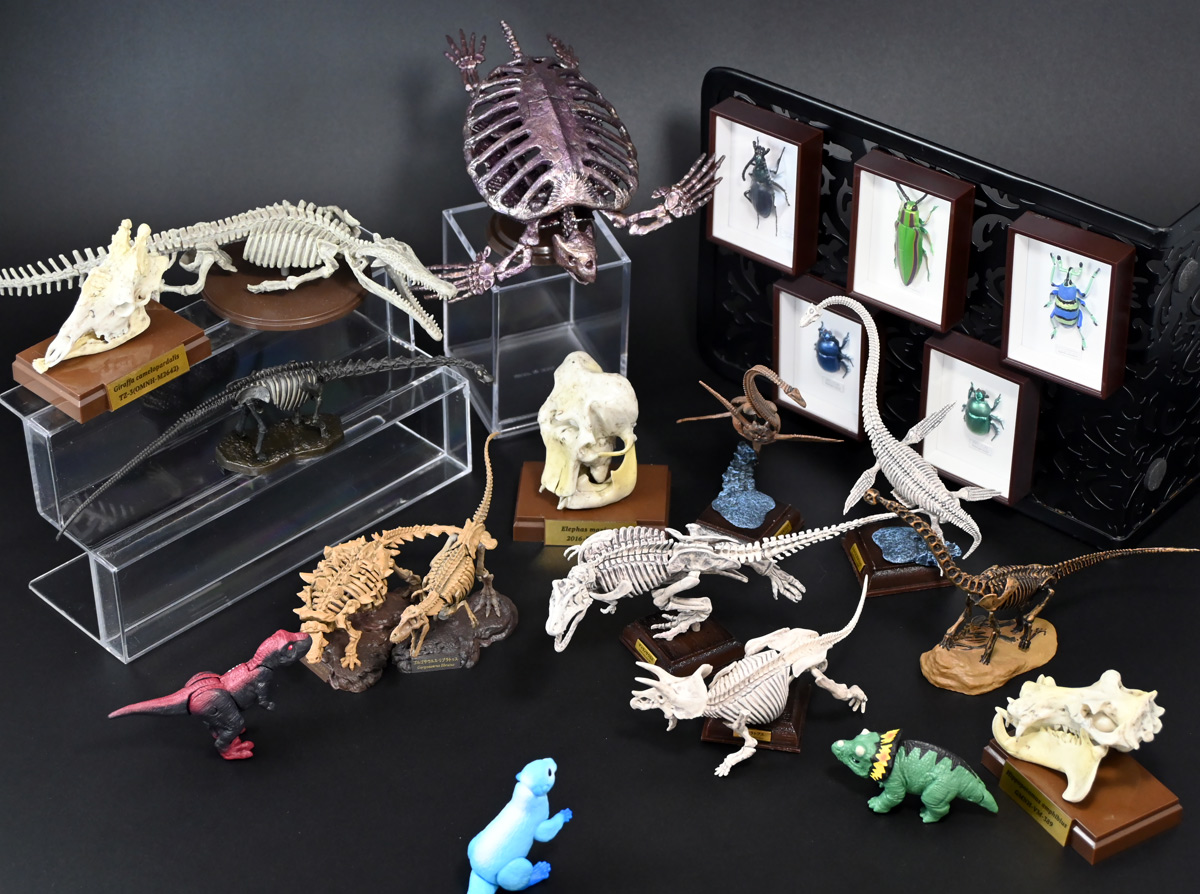 ネイチャーテクニカラー」ほか 生物玩具レビュー コンプその3 ときてっ